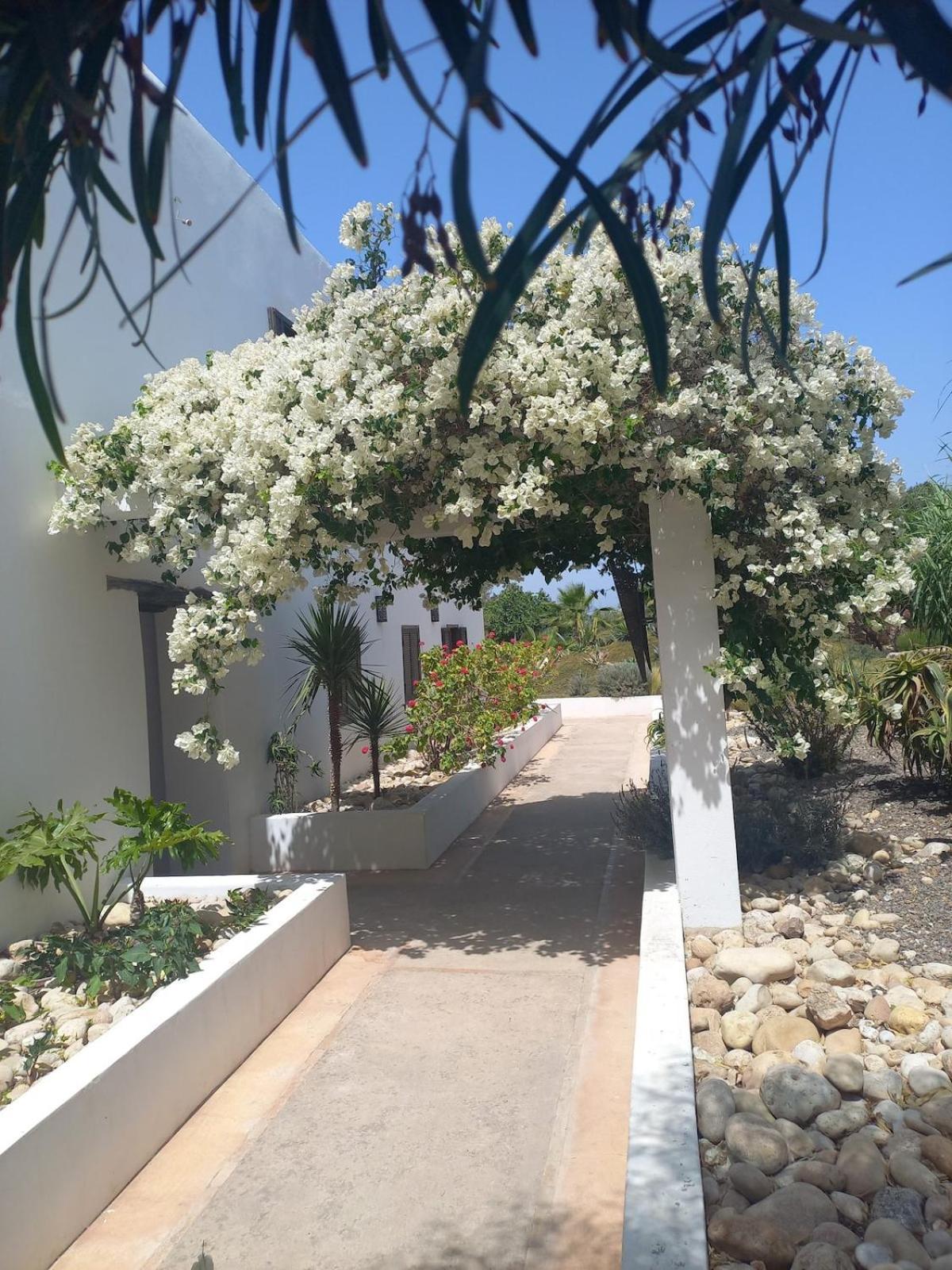 Hotel Les Jardins De Silona, Piscine Chauffee Esauira Exterior foto